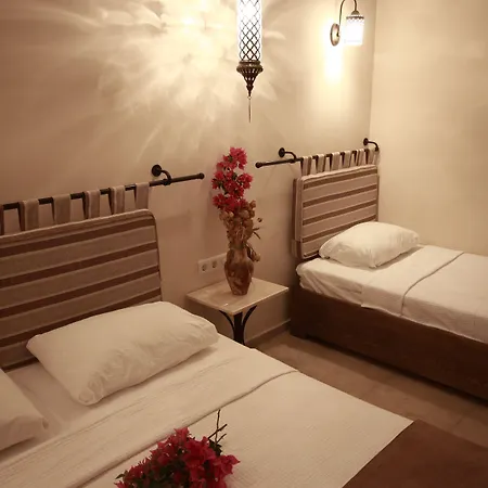 Hotel Dardanos Gelemiş