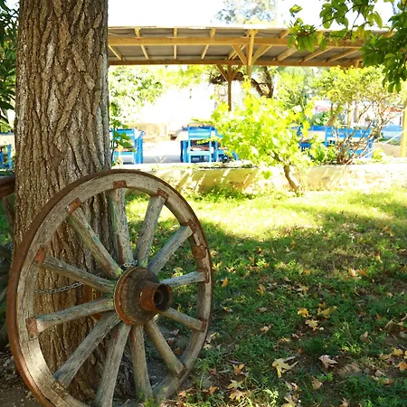 Hotel Dardanos Gelemiş