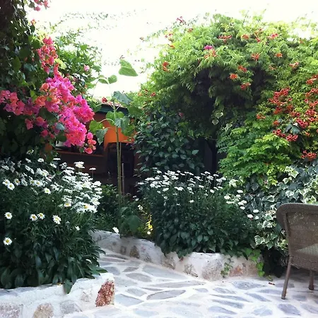 Dardanos Hotel 2*